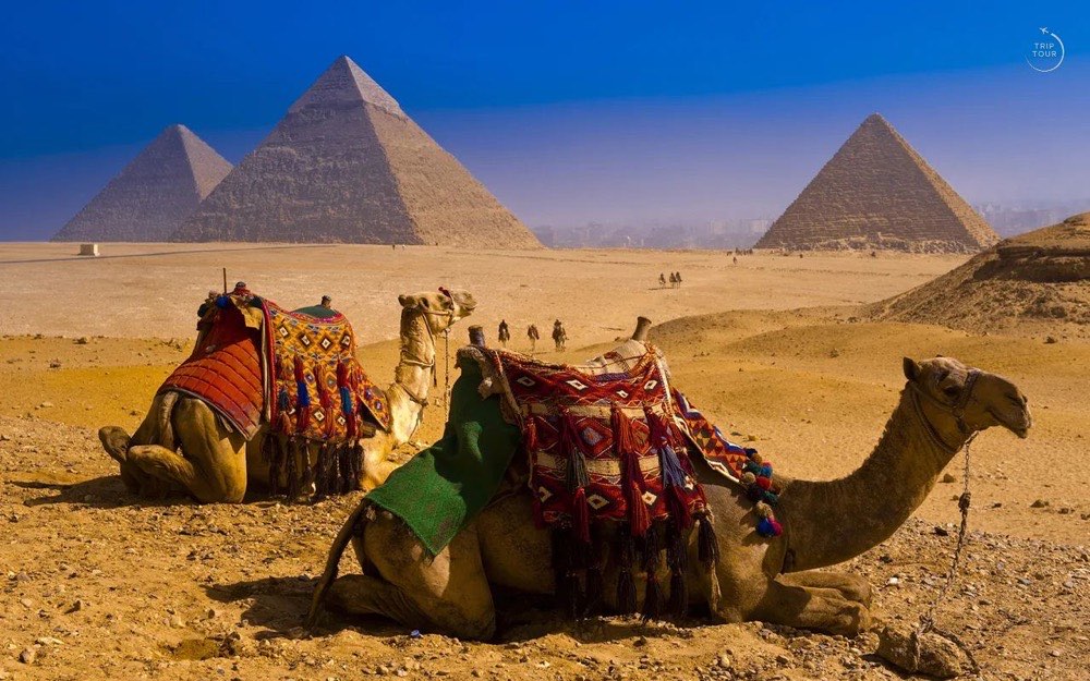 Misr · Sharm ash-Shayx