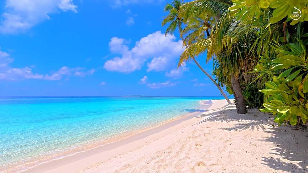 Maldiv orollari · Kamadhoo